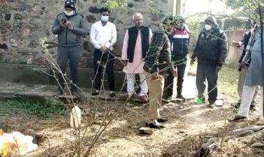 डीग के जनूथर में एक कौआ सहित 4 पक्षियों के मृत मिलने से ग्रामवासियों में हड़कंप, बर्ड फ्लू की आशंका