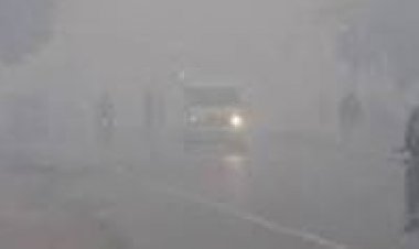 पहाड़ी राज्यों में जबरदस्त  बर्फबारी से मैदानी इलाकों में बढ़ी शीत लहर