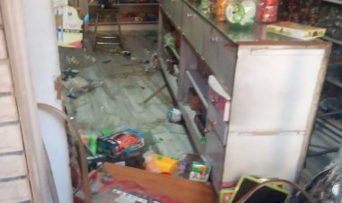 सादड़ी कस्बे में दुकान के अंदर घुसी नीलगाय, हजारों का हुआ नुकसान