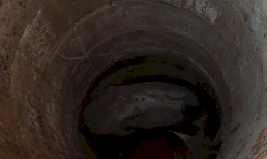 खेड़ला के बस स्टैंड के समीप श्मशान घाट के कुए में गिरा गोवंश जेसीबी की मदद से निकाला