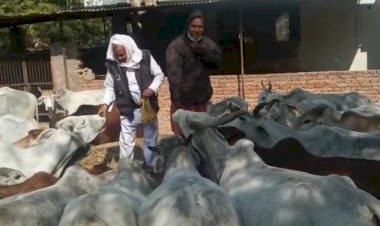 माचाड़ी कस्बे सहित ग्रामीण क्षेत्रों में मकर संक्रांति पर्व हर्षोल्लास से मनाया गया