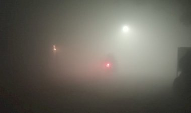 कामां क्षेत्र आया कोहरा के आगोश में, जन जीवन सहित यातायात हुआ प्रभावित