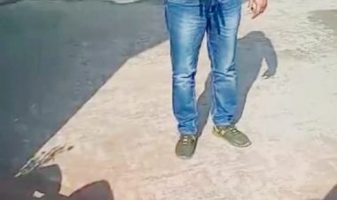 ढींगावाली में लगातार मर रहे हैं पक्षी, विभाग नहीं बरत रहा सर्तकता:- सुशील सियाग