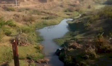 सामाजिक समरसता को बनाए रखने के लिए नदियों को बचाना जरूरी - प्रकृति प्रेमी