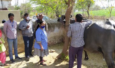पशुधन सेवा अभियान अंतर्गत पशु चिकित्सा शिविरों का हुआ आयोजन