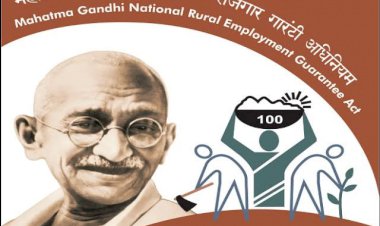 फर्जी नरेगा जॉबकार्ड बनाकर किया लाखों का घपला शिकायत होने पर करा दिए डिलीट