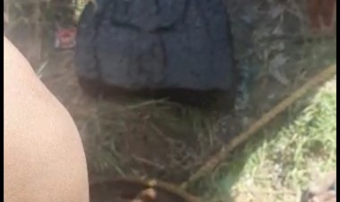 पुलिस ने कुए का पानी खाली कर बरामद की शीतला माता की मूर्ति