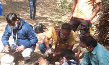 अज्ञात लोगों ने किया गौ नन्दी को जिंदा जलाने का प्रयास, स्थानीय ग्रामीणों में आक्रोश