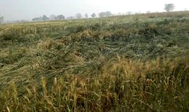 फिर बिगडे मौसम के मिजाज, किसानो की चितां बढी