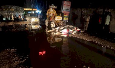 रास्ते मे भरे पानी मे दौड़ा करंट, 2 घोड़ियों की मौत बग्घी में लगी आग