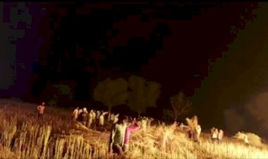 अज्ञात कारणों से लगी आग, 4 बीघा सरसों की फसल जलकर हुई खाक