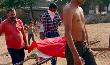 गांव पुराना कुम्हारिया खेड़ा मे कुत्तों के नोचने से वानर राज की हुई मौत