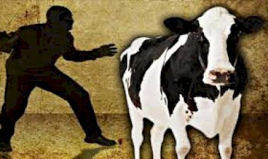 शादी की दावत में हो रही गोकशी से फैली सनसनी, दूल्हे सहित 6 गिरफ्तार