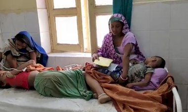 जंगल में ईधन लेने गई महिलाओ व बेर तोडते बच्चो पर मधुमक्खीयो ने किया हमला,पांच घायल, दो भरतपुर रैफर