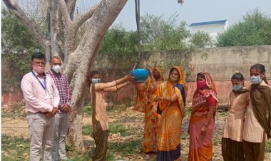 विश्व जल दिवस पर राजकीय उच्च प्राथमिक विद्यालय पीलवा मे लगाए परिंडे