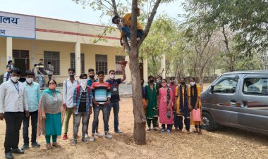 राजकीय महाविद्यालय में पंछियों के लिए परिंडे लगाकर मनाया जल दिवस