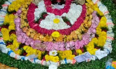 संगीतमय भजनों के साथ श्याम मंदिर पर मनाया गया फाग महोत्सव