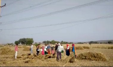 11000 हाई वोल्टेज विद्युत लाइन का तार टूटकर गिरने से  गेहूं की फसल में लगी आग, बाल बाल बचे मजदूर