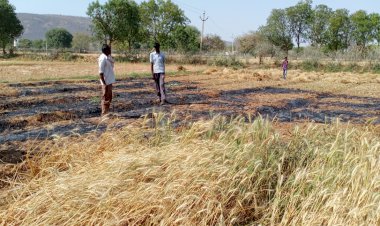 11000 केवी विद्युत लाइन का तार टूटने से खेत में खड़ी गेहूं की फसल जल हुई खाख