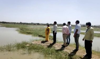 बानसूर मे विकास अधिकारी ने जल शक्ति मिशन के अंतर्गत किया जोहड में हो रहे कार्यों का निरीक्षण