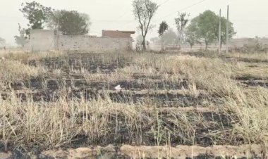 11000 केवी बिजली लाईन टूटने से विधवा महिला के खेत की गेहूं फ़सल जलकर हुई राख