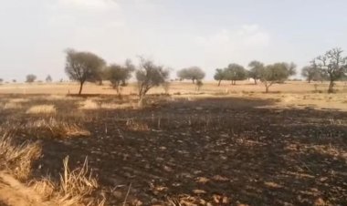 अग्नि पीड़ित किसान को सरपंच ने दी 5000 रुपये की आर्थिक सहायता