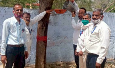 प्राथमिक विद्यालय में बेजुबान पक्षियों के लिए लगायें परिंडे