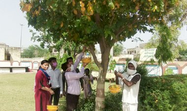 लूपिन संस्था ने कुम्हेर कस्बे में बेजुबान पंछियों के लिए लगाए पानी के परिण्डे