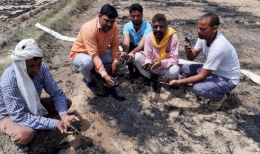 गोपालपुरा में अज्ञात व्यक्ति ने दो खेतों में लगाई आग, पीड़ितों ने सहायता के लिए एसडीएम को सौंपा ज्ञापन