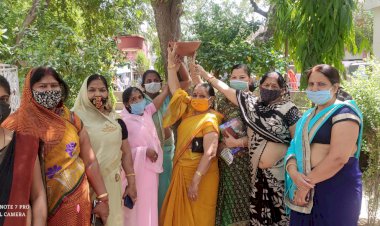 वैश्य महिला समिति की ओर से बेजुबान पक्षियों के लिए लगाए गए पानीे के परिण्डे