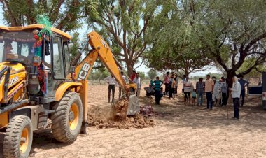 जोनेटा गांव में नील गाय को मारकर मांस निकाल लें गए शिकारी