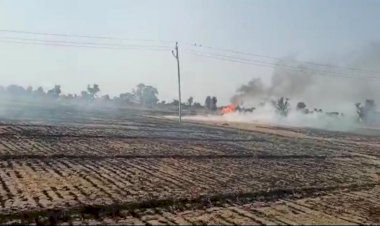 कठूमर के सुर्री वाले जंगल में लगी आग से लगभग बीस बीघा खेत का चारा व गेहूँ जलकर नष्ट