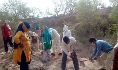 ग्राम पंचायत राजवाड़ा में रजनी मामचंद सरपंच के नेतृत्व में हुआ श्रम दान