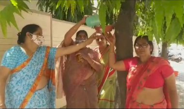 पक्षी व पर्यावरण है मनुष्य के जीवन का आधार