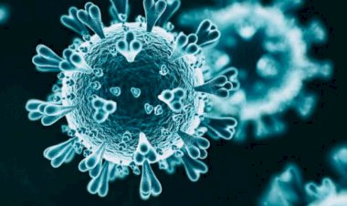 थानागाजी में फूटा कोरोना बम्ब आए 24 पॉजिटिव मरीज