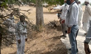 झूठी शिकायत पर ग्राम लाठकी के आदतन शिकायती को किया पाबंद, तहसीलदार व विकास अधिकारी ने की संयुक्त कार्यवाही