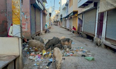 देश में कोरोना की महामारी, कस्बे में कचरे की बीमारी ने किया आमजन का जीना दुर्लभ