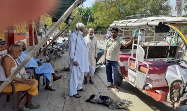 गंभीर रूप से घायल मादा स्वान को उपचार के लिए बझेरा भिजवाया