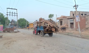 पर्यावरण के दुश्मन बने पेडो के सौदागर, प्रशासन नहीं करता ठोस कार्यवाही
