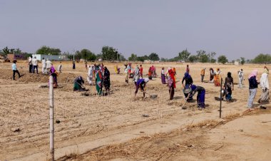 विकास अधिकारी डॉ समयसिहं सिंह मीणा ने किया नरेगा कार्यों का निरीक्षण