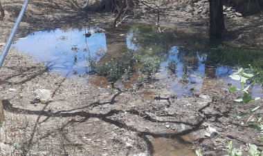 गर्मी के मौसम मे मूक प्राणियो की सेवा के लिए  टैन्करो से डलवाया  गया पानी