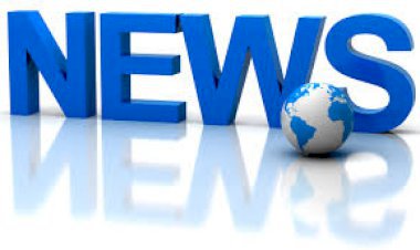 बोडोलीडहर गाँव की बोरिग में गिरा नंदी, घायल