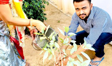 गौ रक्षा सेवा समिति के प्रथम अध्यक्ष ने पौधरोपण कर मनाया जन्मदिन