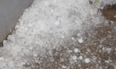 ओलों की बारिश से जमीन पर बिछी सफेद चादर