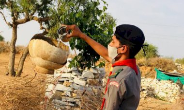 स्काउट गाइड कर रहे मूक पक्षियों के लिए दाना पानी की व्यवस्था