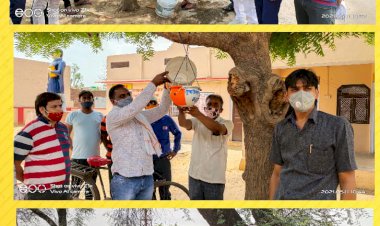 युवा वैश्य समाज कठूमर ने परिंडे लगाने के अभियान का किया आगाज