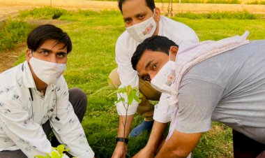 अग्रवाल नवयुवक मण्डल द्वारा किया गया पौधारोपण