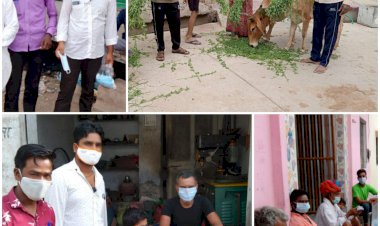 पार्षदो ने वार्ड में डोर टू डोर मास्क वितरण कर लोगो को किया जागरूक, गायों को डाली घास