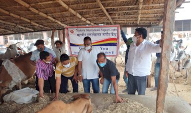 गौशाला में महावीर इंटरनेशनल ने की चारे की व्यवस्था