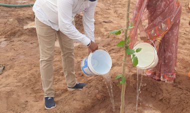 पौधारोपण कार्यक्रम में ग्रामीणों ने तालाब की पाल पर लगाए 80 पौधे